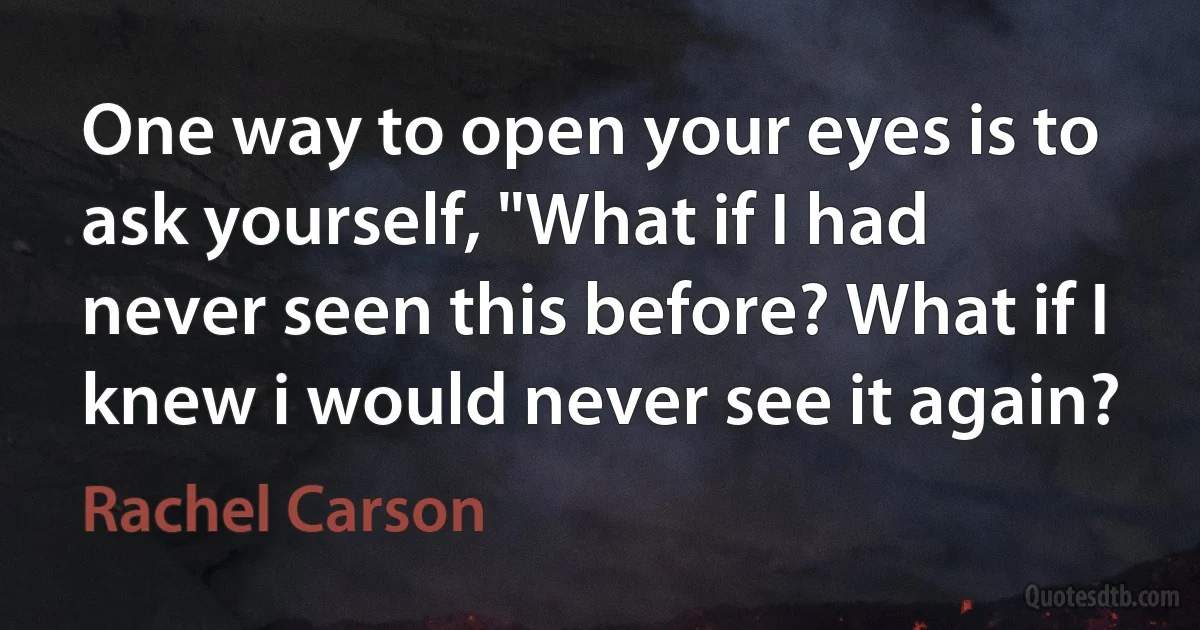 One way to open your eyes is to ask yourself, "What if I had never seen this before? What if I knew i would never see it again? (Rachel Carson)