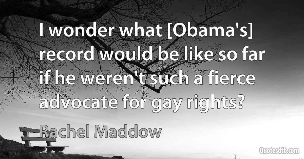 I wonder what [Obama's] record would be like so far if he weren't such a fierce advocate for gay rights? (Rachel Maddow)