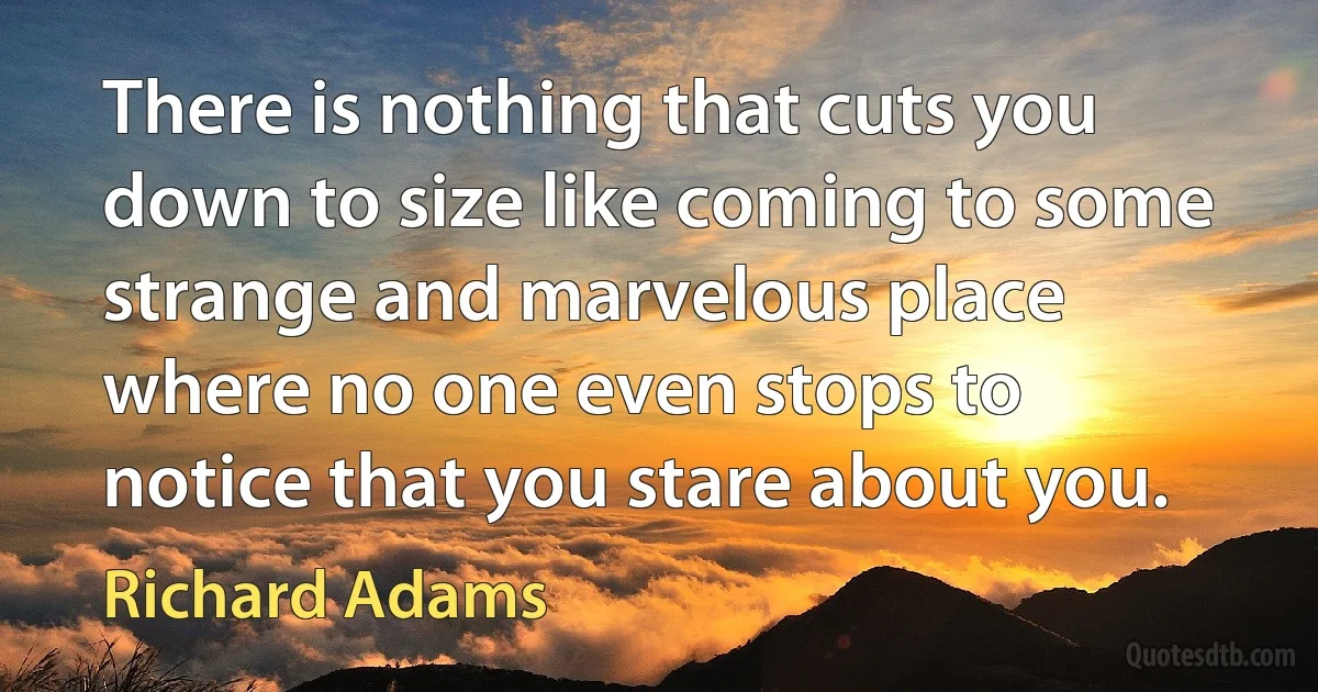 There is nothing that cuts you down to size like coming to some strange and marvelous place where no one even stops to notice that you stare about you. (Richard Adams)