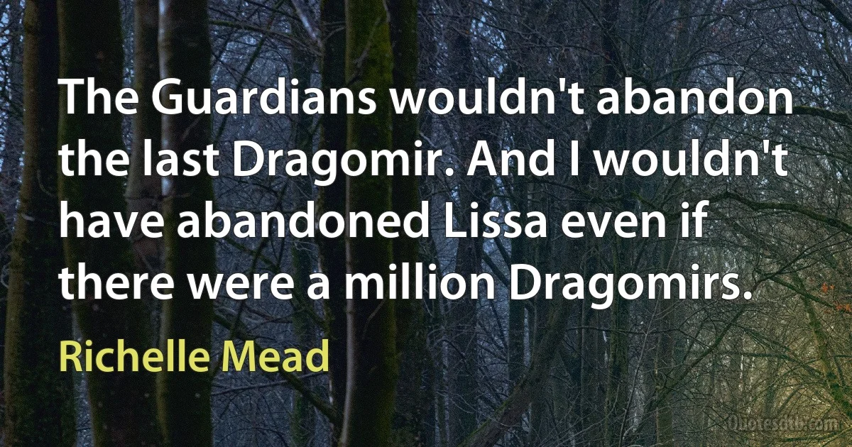 The Guardians wouldn't abandon the last Dragomir. And I wouldn't have abandoned Lissa even if there were a million Dragomirs. (Richelle Mead)