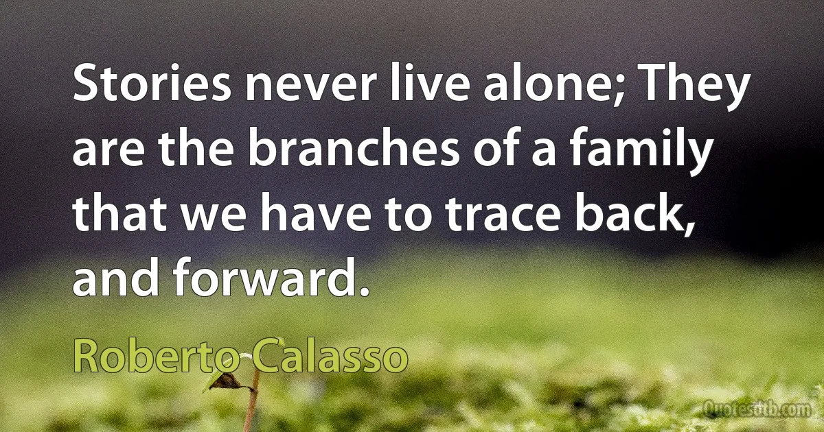 Stories never live alone; They are the branches of a family that we have to trace back, and forward. (Roberto Calasso)