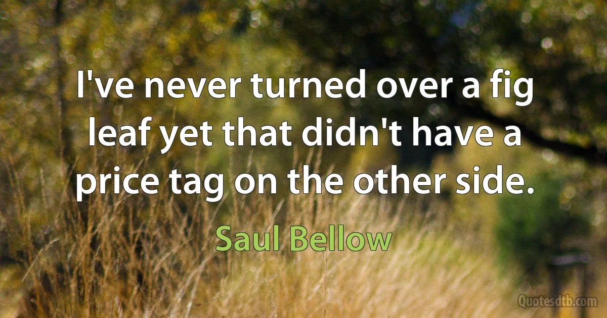 I've never turned over a fig leaf yet that didn't have a price tag on the other side. (Saul Bellow)