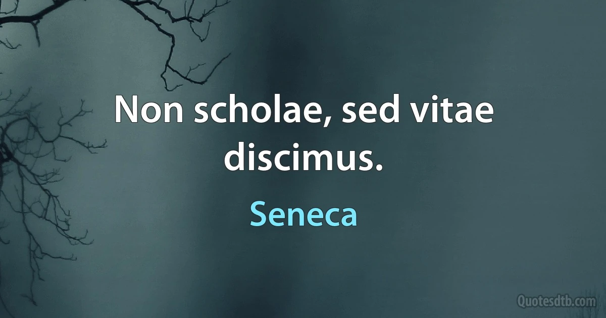 Non scholae, sed vitae discimus. (Seneca)