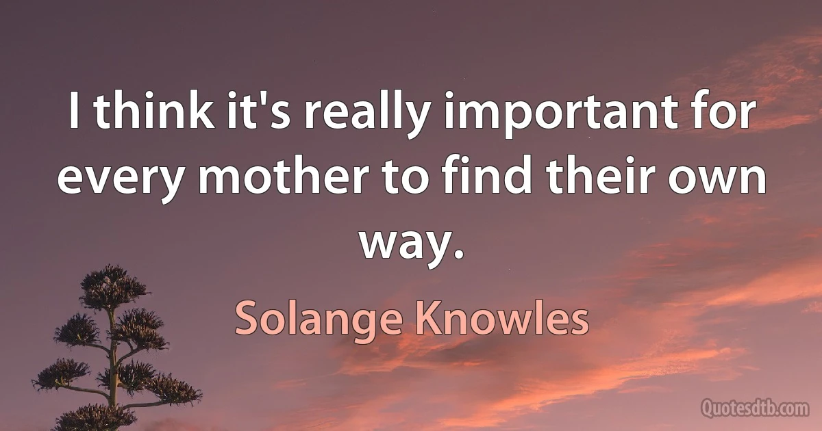 I think it's really important for every mother to find their own way. (Solange Knowles)