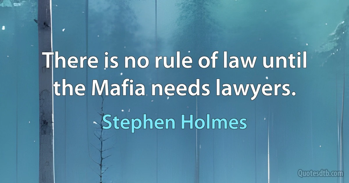 There is no rule of law until the Mafia needs lawyers. (Stephen Holmes)