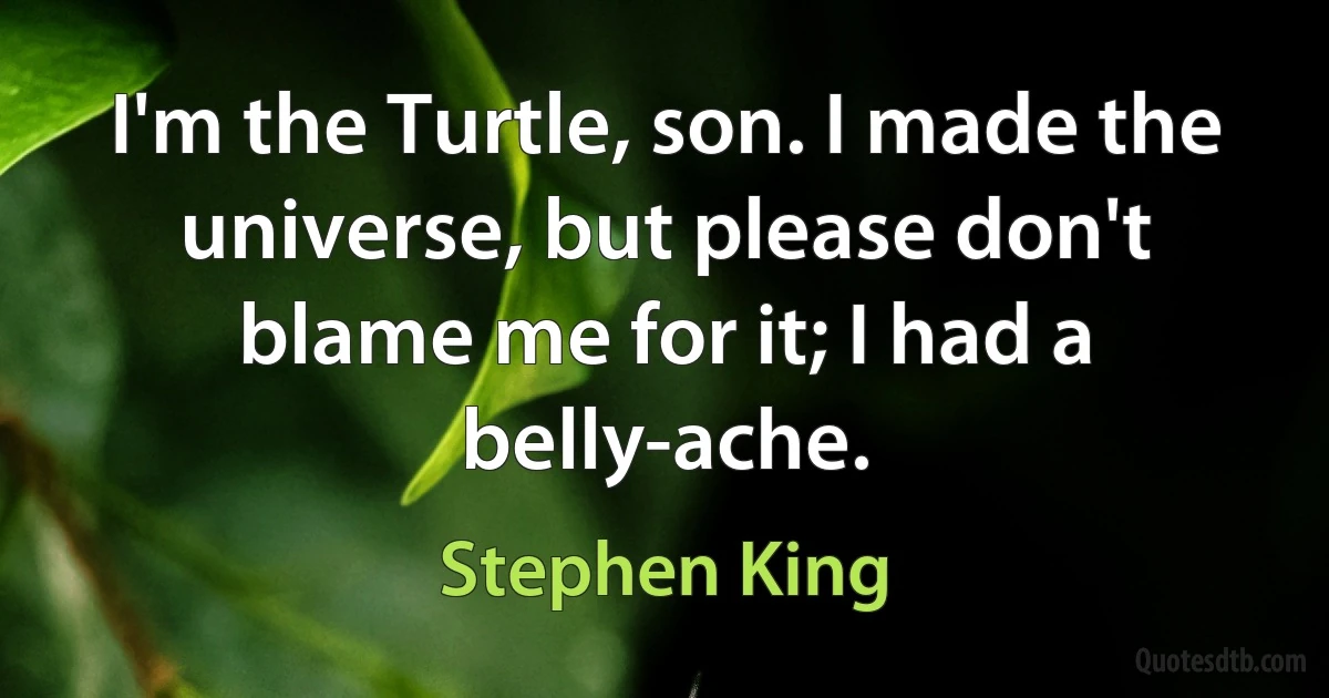 I'm the Turtle, son. I made the universe, but please don't blame me for it; I had a belly-ache. (Stephen King)