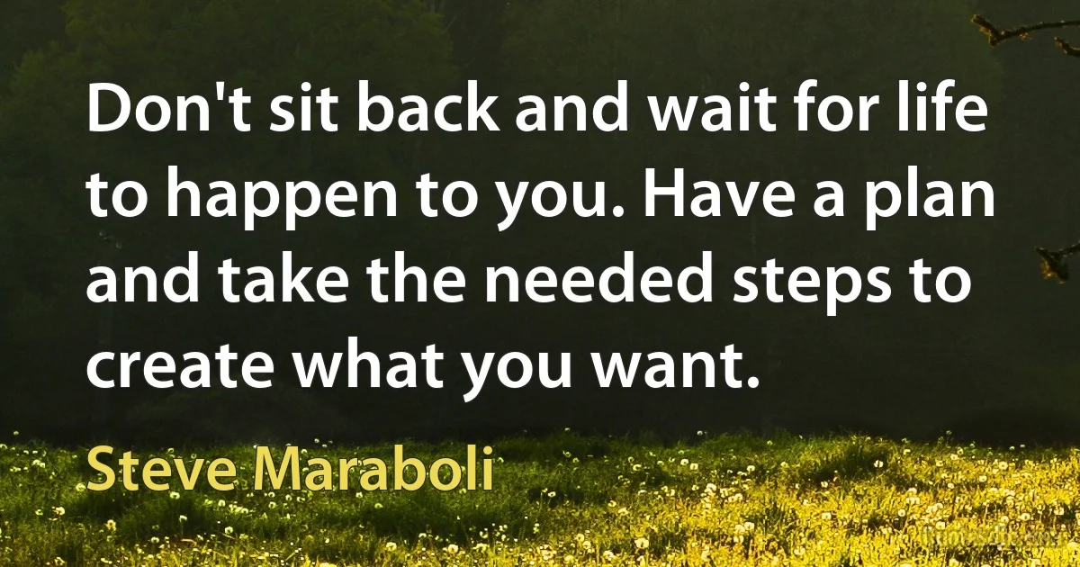 Don't sit back and wait for life to happen to you. Have a plan and take the needed steps to create what you want. (Steve Maraboli)