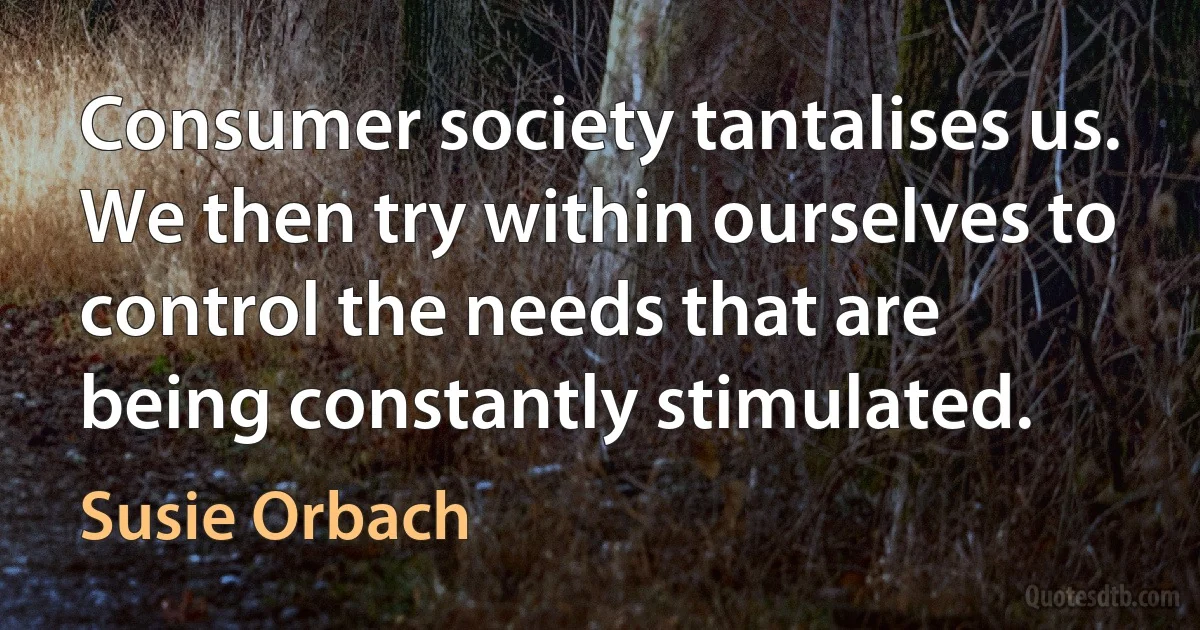 Consumer society tantalises us. We then try within ourselves to control the needs that are being constantly stimulated. (Susie Orbach)