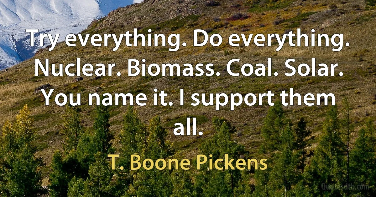 Try everything. Do everything. Nuclear. Biomass. Coal. Solar. You name it. I support them all. (T. Boone Pickens)