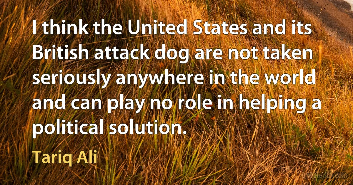 I think the United States and its British attack dog are not taken seriously anywhere in the world and can play no role in helping a political solution. (Tariq Ali)