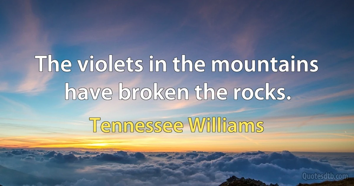 The violets in the mountains have broken the rocks. (Tennessee Williams)