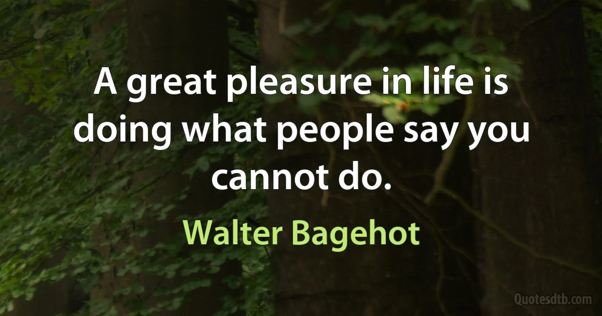 A great pleasure in life is doing what people say you cannot do. (Walter Bagehot)