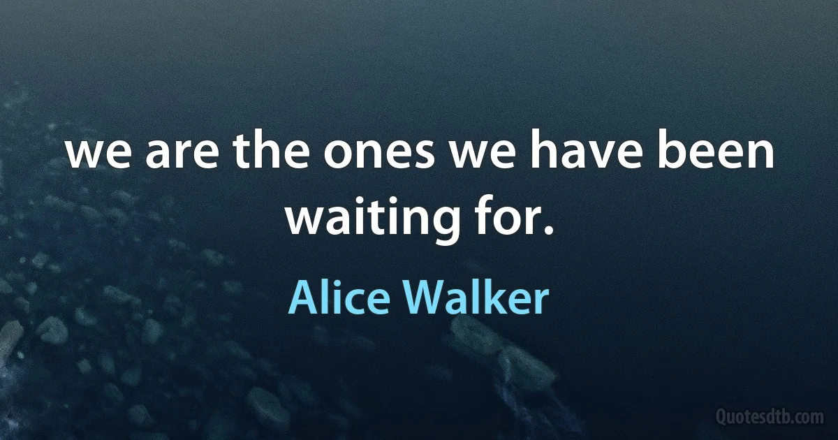 we are the ones we have been waiting for. (Alice Walker)