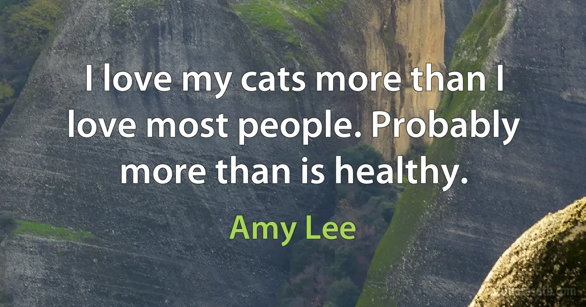 I love my cats more than I love most people. Probably more than is healthy. (Amy Lee)