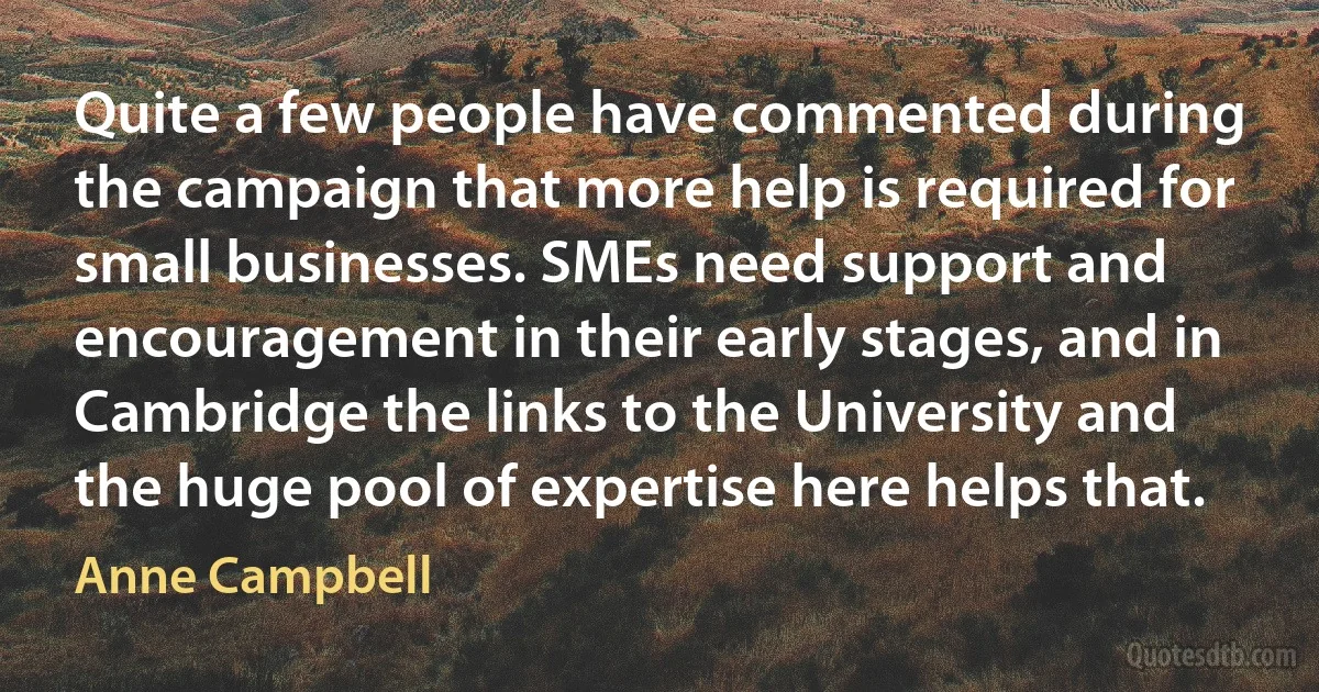 Quite a few people have commented during the campaign that more help is required for small businesses. SMEs need support and encouragement in their early stages, and in Cambridge the links to the University and the huge pool of expertise here helps that. (Anne Campbell)