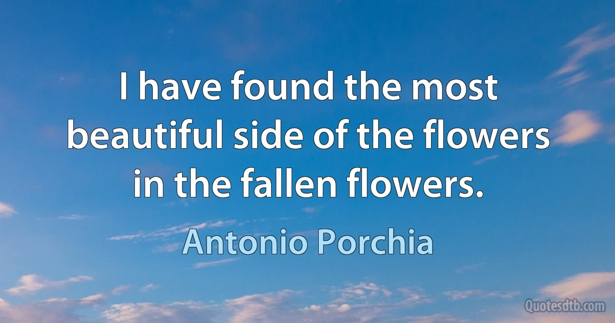 I have found the most beautiful side of the flowers in the fallen flowers. (Antonio Porchia)