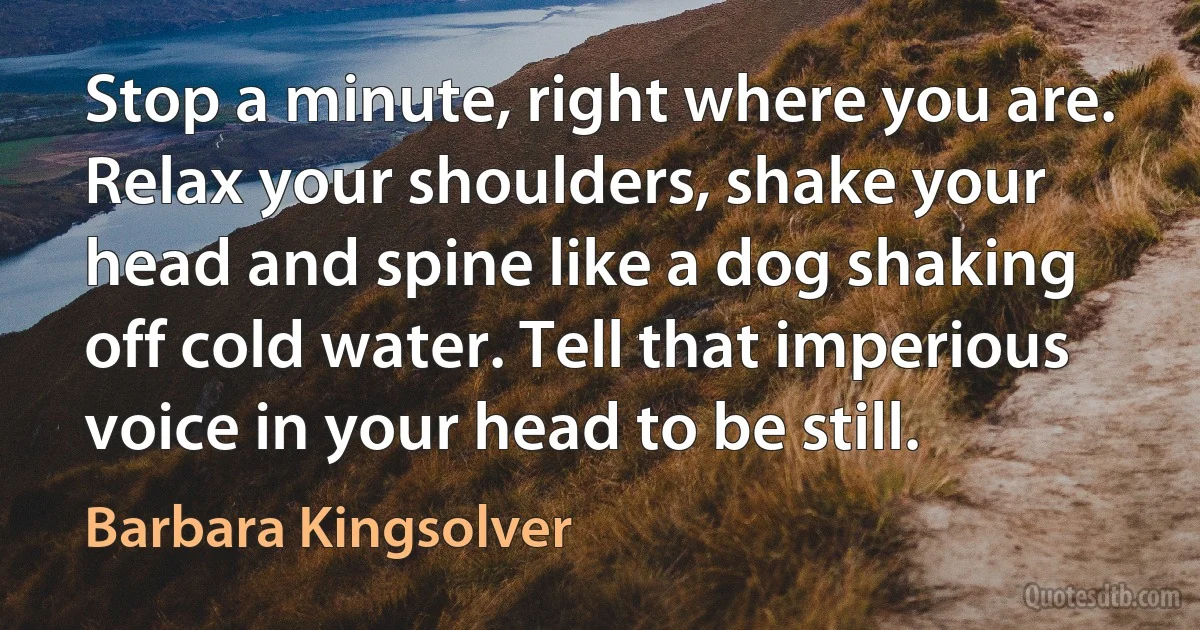 Stop a minute, right where you are. Relax your shoulders, shake your head and spine like a dog shaking off cold water. Tell that imperious voice in your head to be still. (Barbara Kingsolver)