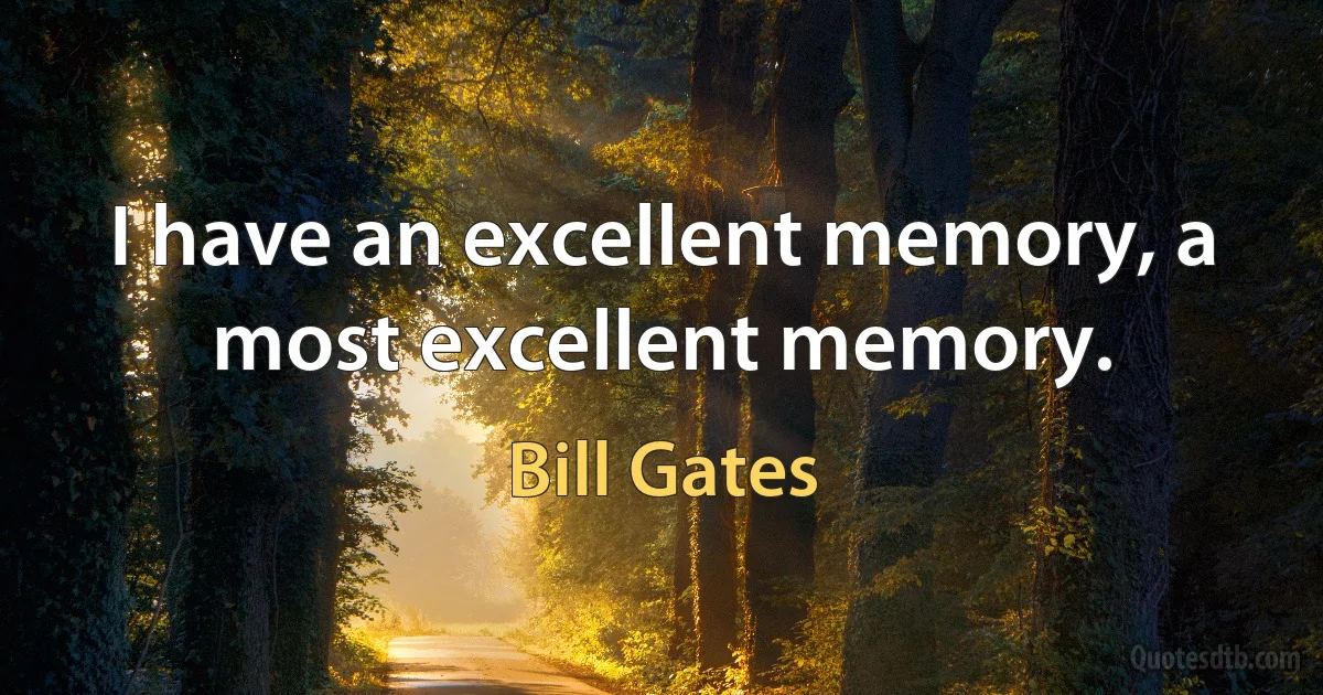 I have an excellent memory, a most excellent memory. (Bill Gates)