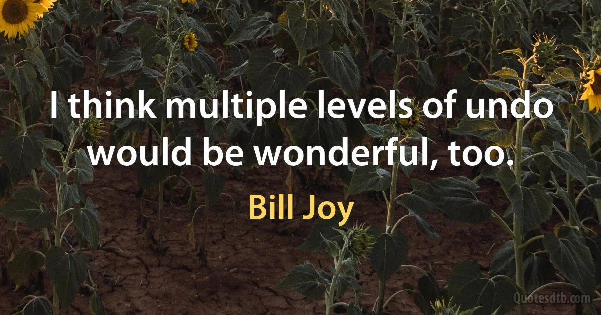 I think multiple levels of undo would be wonderful, too. (Bill Joy)