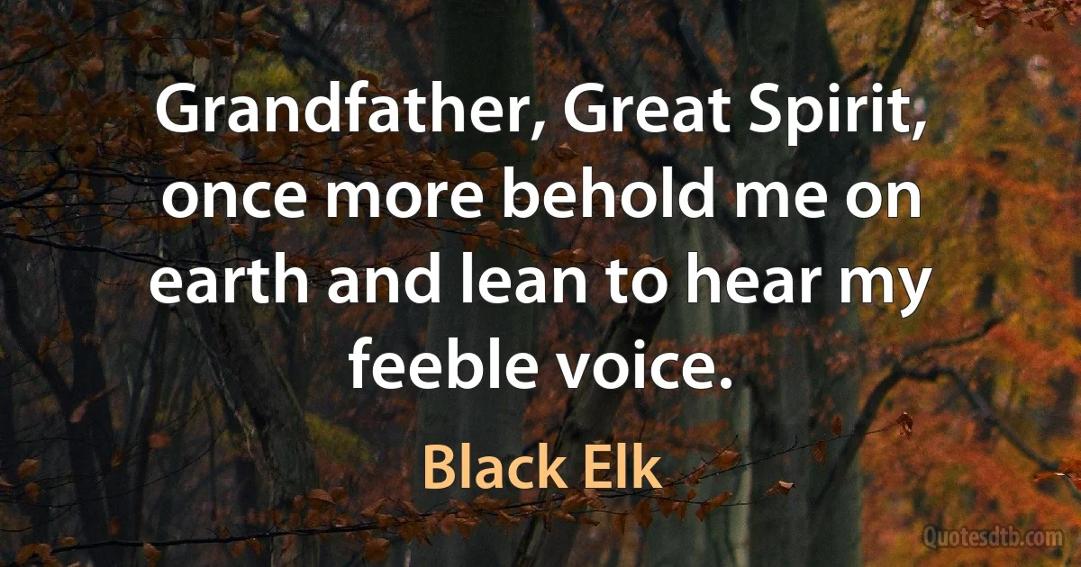 Grandfather, Great Spirit, once more behold me on earth and lean to hear my feeble voice. (Black Elk)