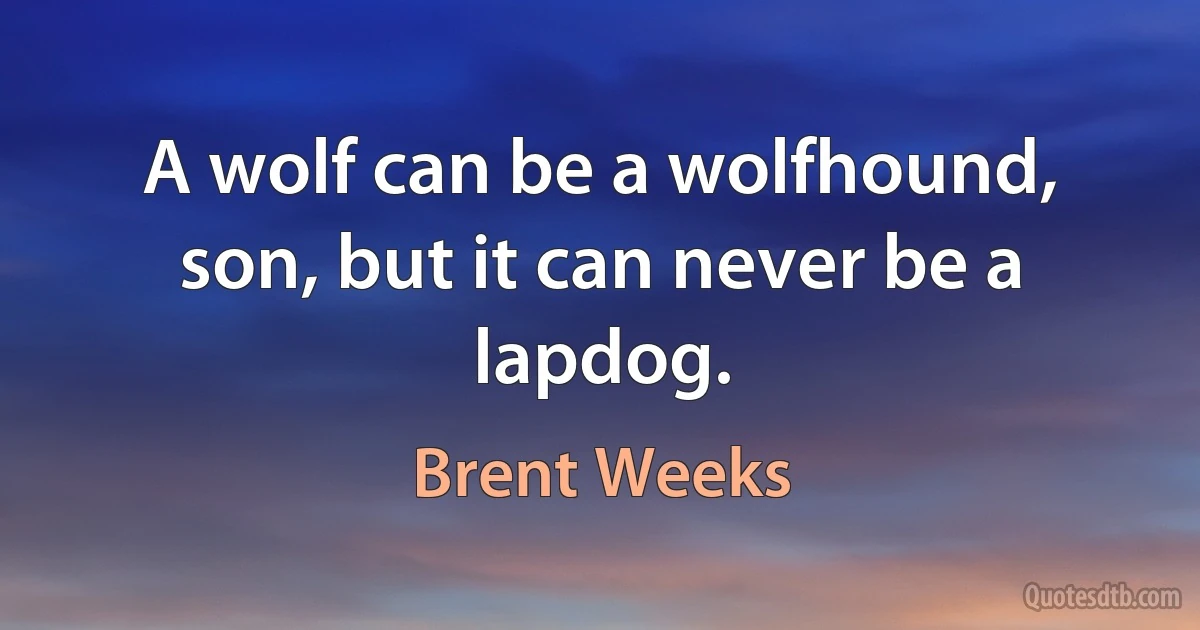 A wolf can be a wolfhound, son, but it can never be a lapdog. (Brent Weeks)