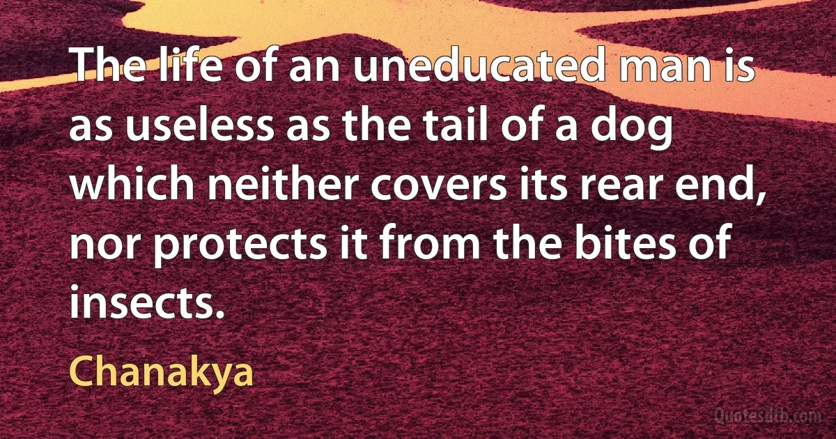 The life of an uneducated man is as useless as the tail of a dog which neither covers its rear end, nor protects it from the bites of insects. (Chanakya)