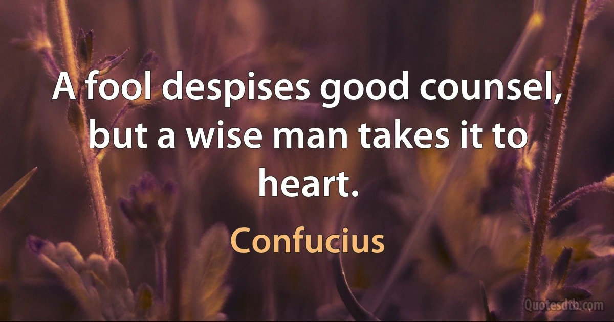 A fool despises good counsel, but a wise man takes it to heart. (Confucius)