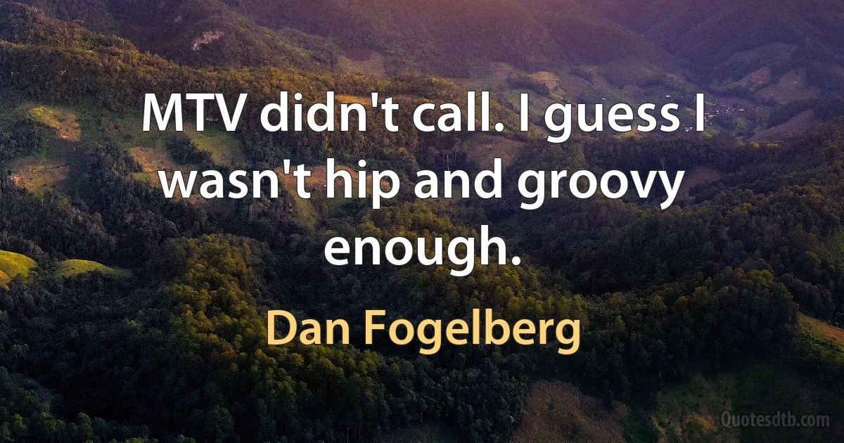 MTV didn't call. I guess I wasn't hip and groovy enough. (Dan Fogelberg)