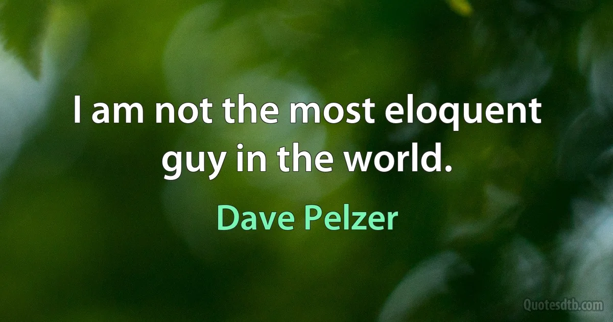 I am not the most eloquent guy in the world. (Dave Pelzer)