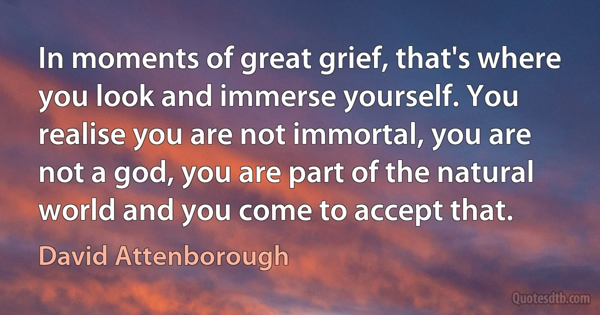 In moments of great grief, that's where you look and immerse yourself. You realise you are not immortal, you are not a god, you are part of the natural world and you come to accept that. (David Attenborough)