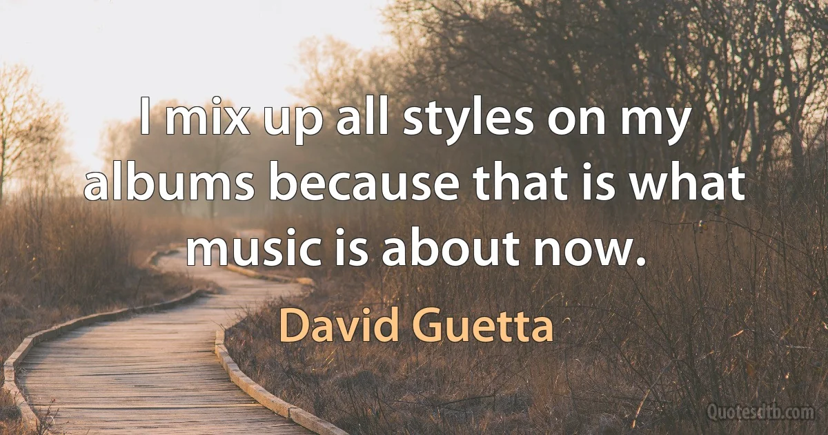 I mix up all styles on my albums because that is what music is about now. (David Guetta)