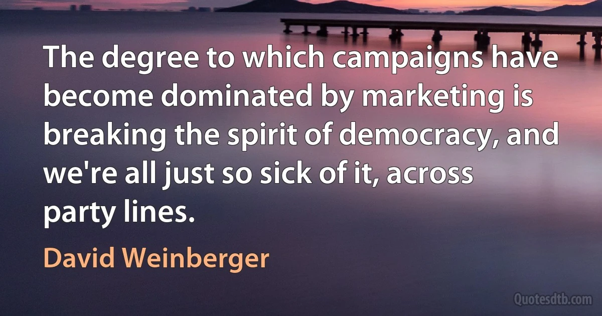 The degree to which campaigns have become dominated by marketing is breaking the spirit of democracy, and we're all just so sick of it, across party lines. (David Weinberger)