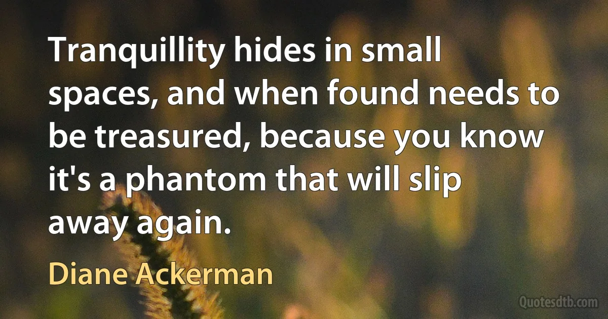 Tranquillity hides in small spaces, and when found needs to be treasured, because you know it's a phantom that will slip away again. (Diane Ackerman)