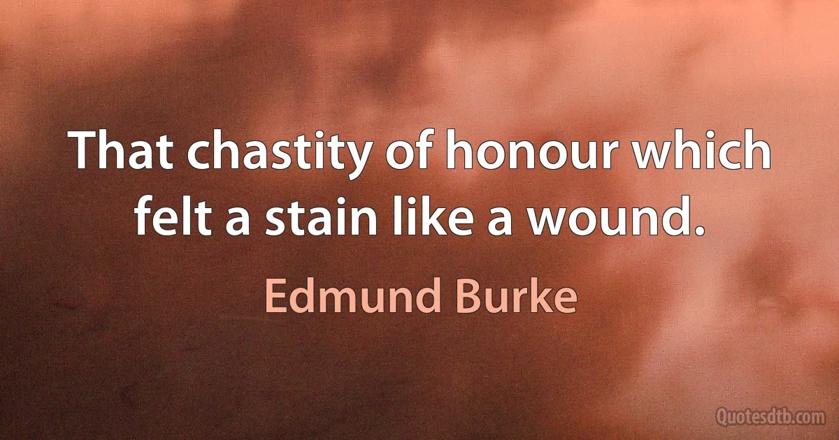 That chastity of honour which felt a stain like a wound. (Edmund Burke)