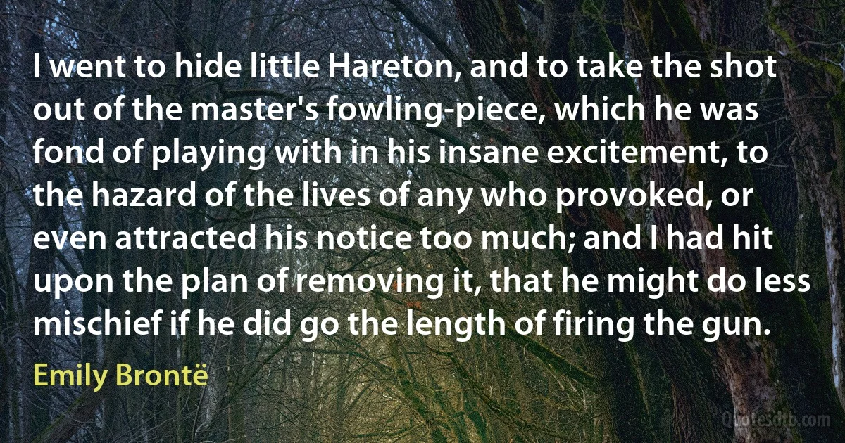 I went to hide little Hareton, and to take the shot out of the master's fowling-piece, which he was fond of playing with in his insane excitement, to the hazard of the lives of any who provoked, or even attracted his notice too much; and I had hit upon the plan of removing it, that he might do less mischief if he did go the length of firing the gun. (Emily Brontë)