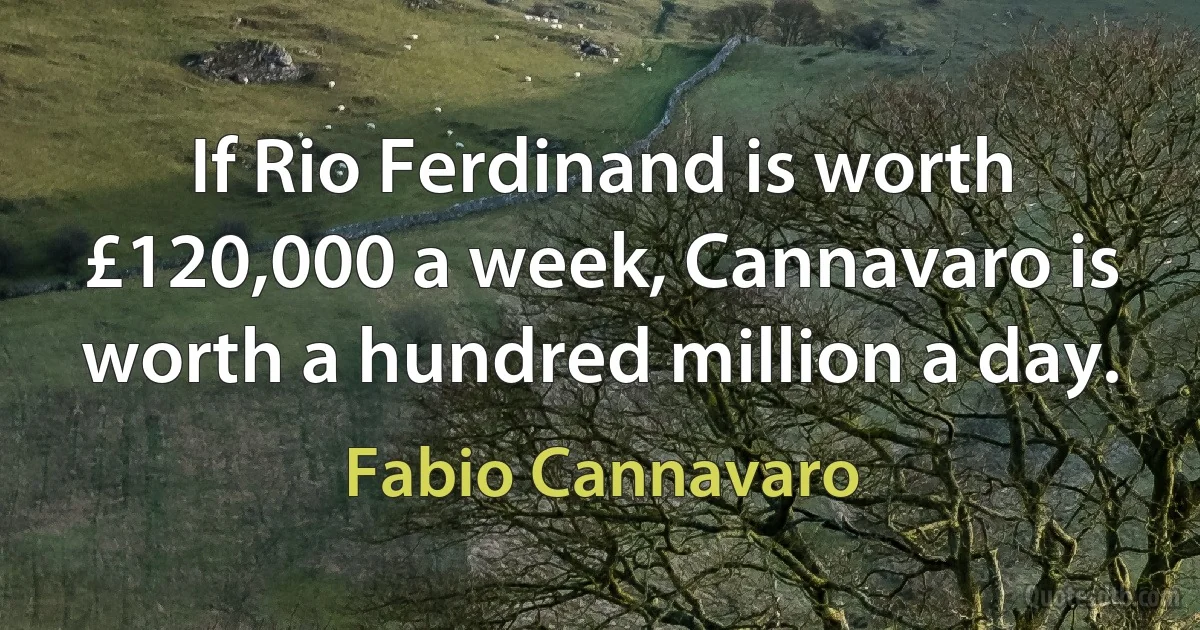 If Rio Ferdinand is worth £120,000 a week, Cannavaro is worth a hundred million a day. (Fabio Cannavaro)