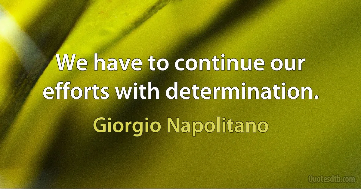 We have to continue our efforts with determination. (Giorgio Napolitano)