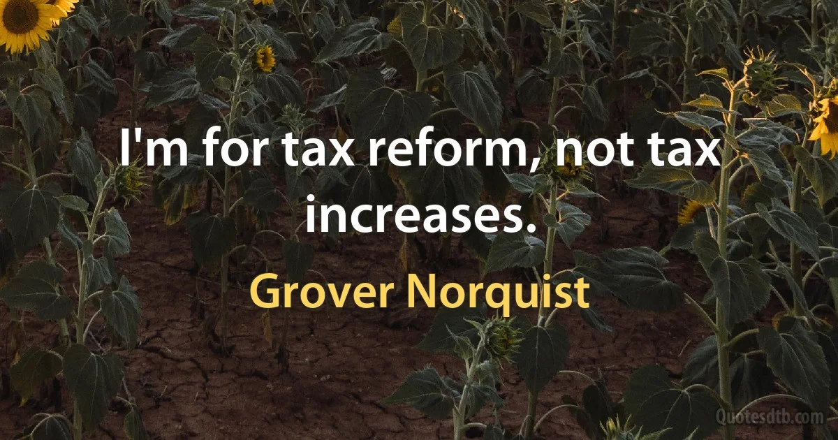 I'm for tax reform, not tax increases. (Grover Norquist)