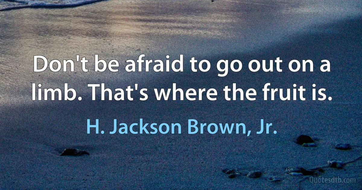 Don't be afraid to go out on a limb. That's where the fruit is. (H. Jackson Brown, Jr.)