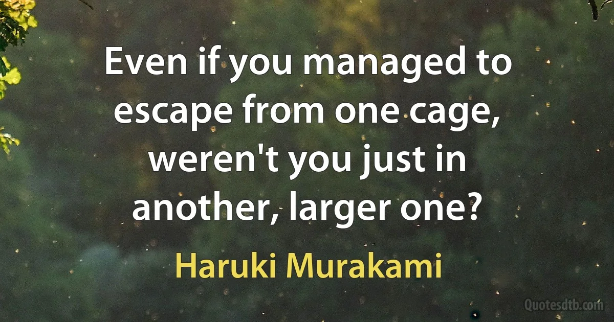 Even if you managed to escape from one cage, weren't you just in another, larger one? (Haruki Murakami)