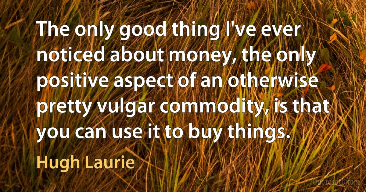 The only good thing I've ever noticed about money, the only positive aspect of an otherwise pretty vulgar commodity, is that you can use it to buy things. (Hugh Laurie)