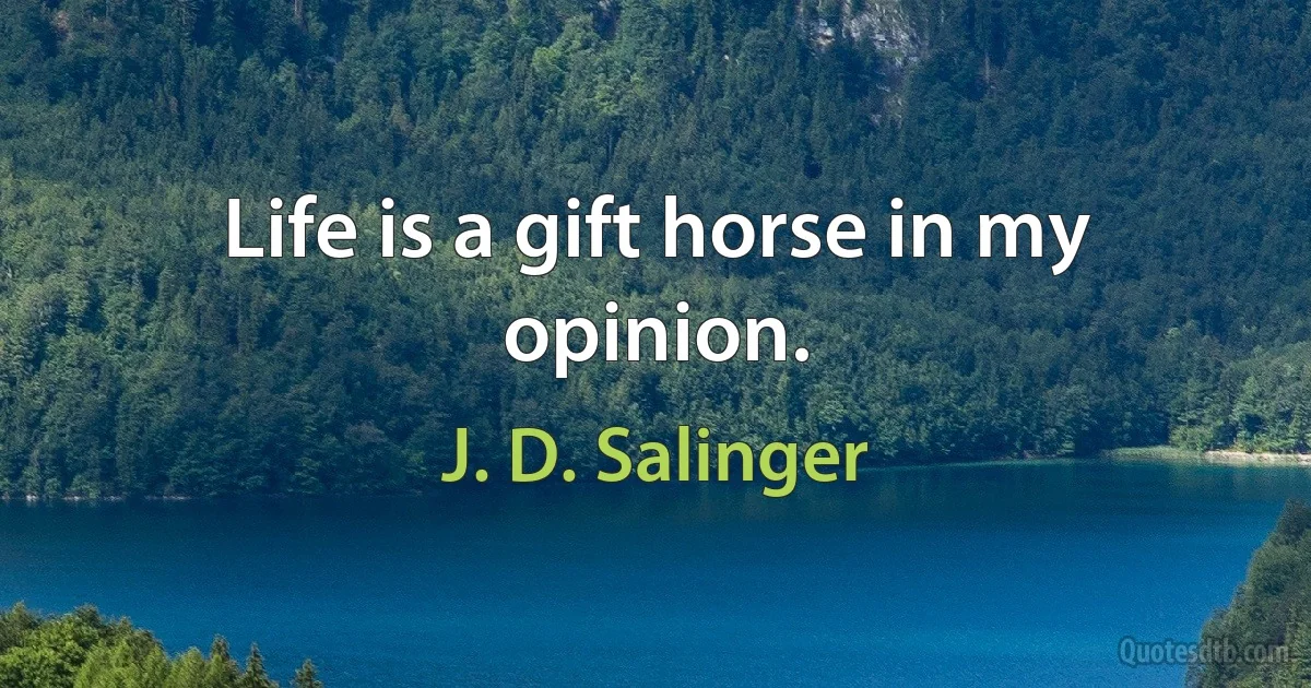 Life is a gift horse in my opinion. (J. D. Salinger)