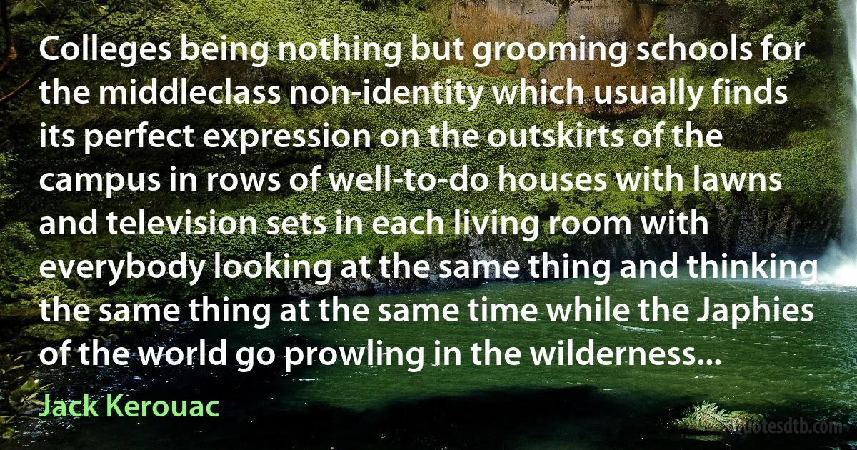 Colleges being nothing but grooming schools for the middleclass non-identity which usually finds its perfect expression on the outskirts of the campus in rows of well-to-do houses with lawns and television sets in each living room with everybody looking at the same thing and thinking the same thing at the same time while the Japhies of the world go prowling in the wilderness... (Jack Kerouac)