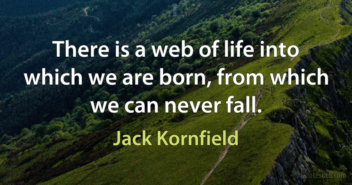 There is a web of life into which we are born, from which we can never fall. (Jack Kornfield)