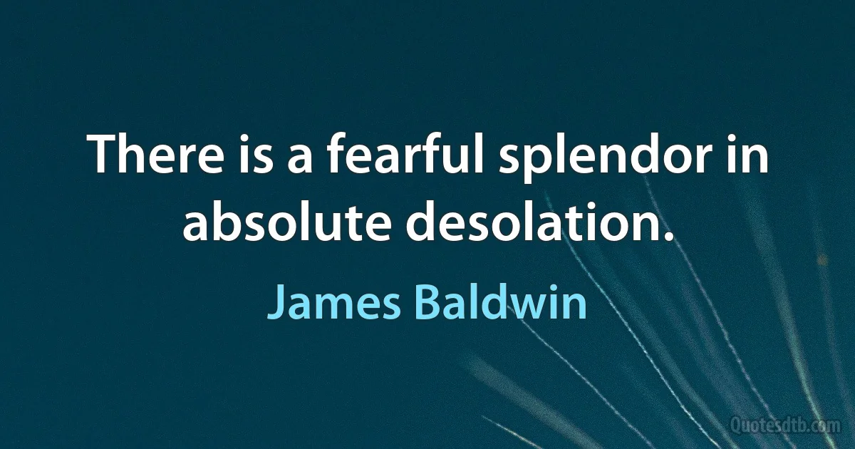 There is a fearful splendor in absolute desolation. (James Baldwin)