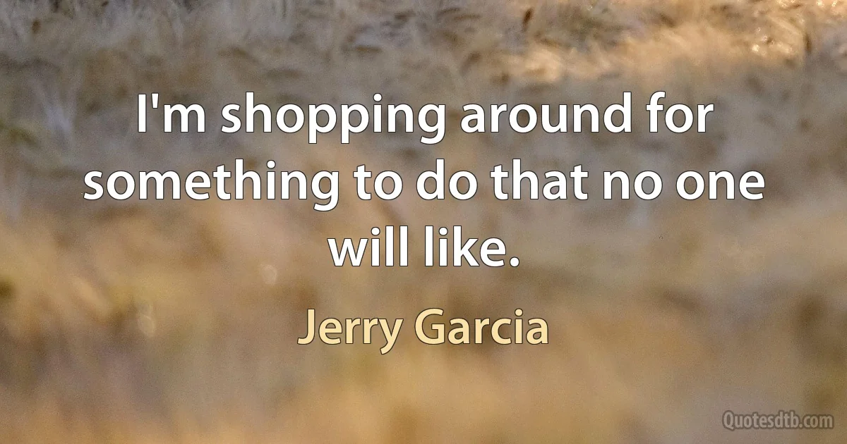 I'm shopping around for something to do that no one will like. (Jerry Garcia)