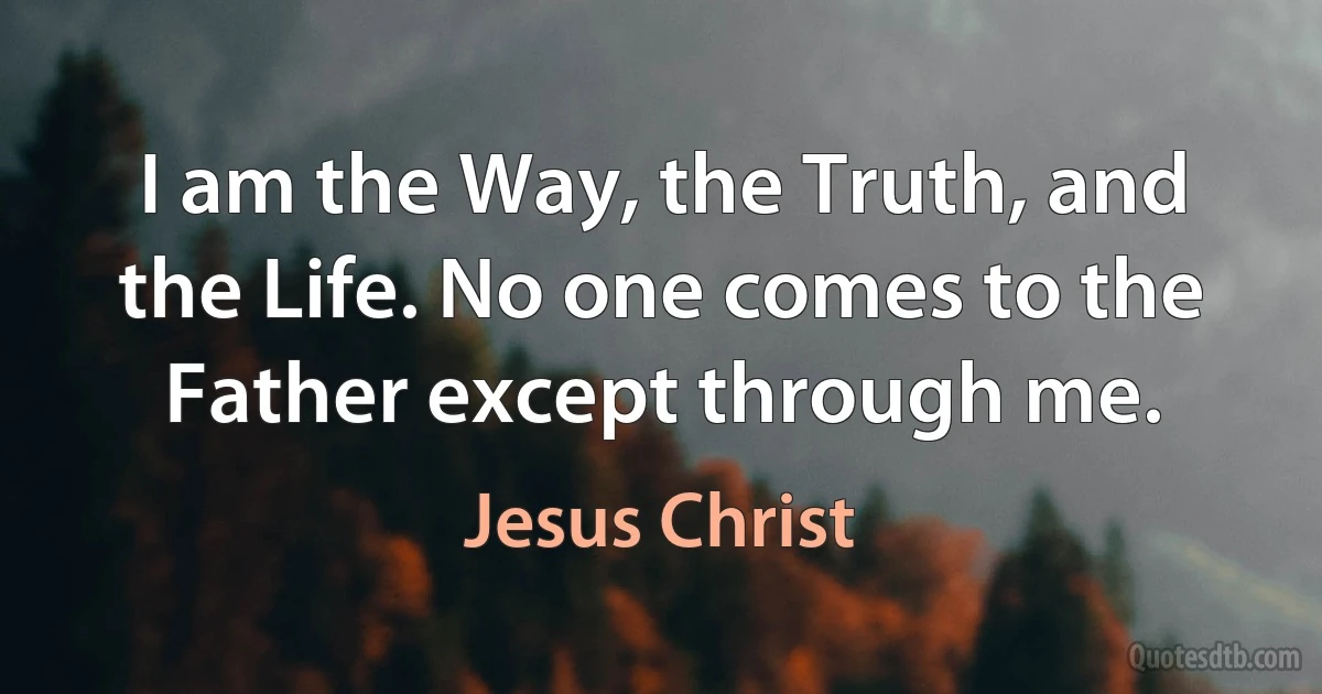 I am the Way, the Truth, and the Life. No one comes to the Father except through me. (Jesus Christ)