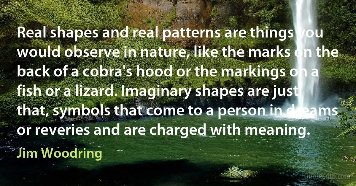 Real shapes and real patterns are things you would observe in nature, like the marks on the back of a cobra's hood or the markings on a fish or a lizard. Imaginary shapes are just that, symbols that come to a person in dreams or reveries and are charged with meaning. (Jim Woodring)