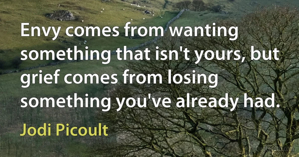 Envy comes from wanting something that isn't yours, but grief comes from losing something you've already had. (Jodi Picoult)