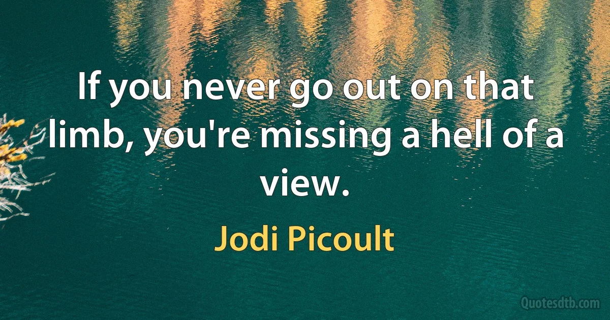 If you never go out on that limb, you're missing a hell of a view. (Jodi Picoult)